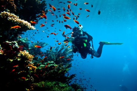 Diving Tour in Hurghada