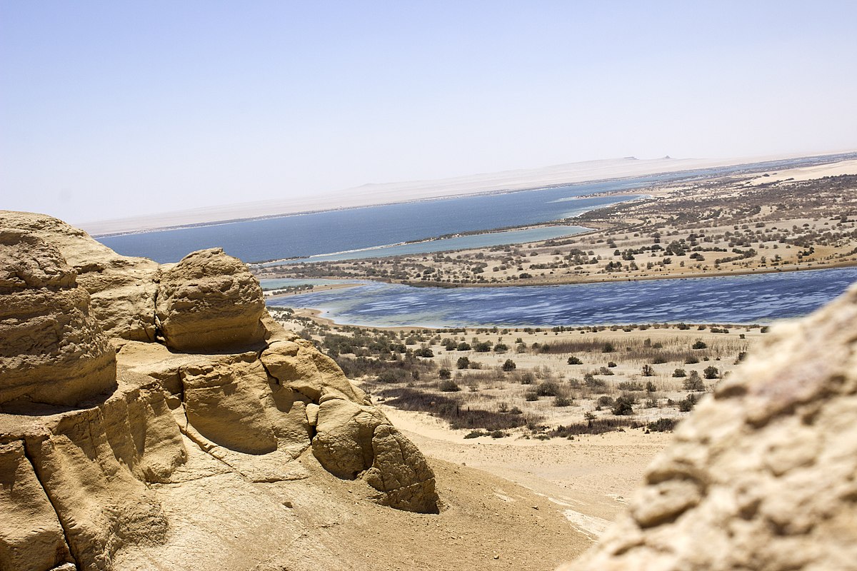 Day Tour to El Fayoum from Cairo