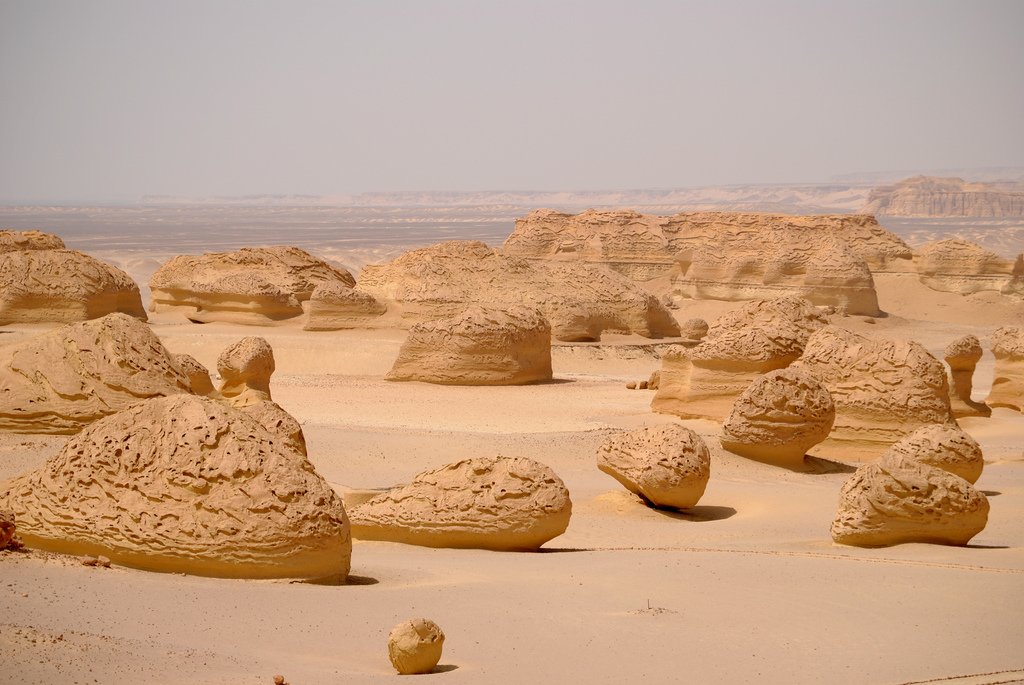 Day Tour to El Fayoum from Cairo