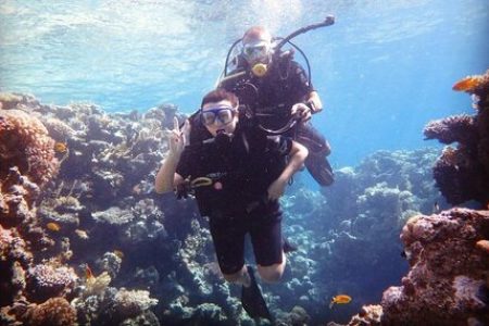 Diving Trip to Tiran Island